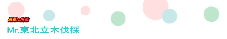 Mr.���k���ؔ���